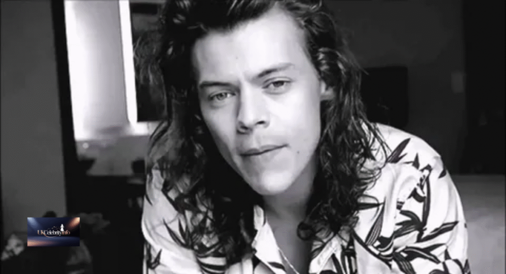 How Did Harry Styles Become Famous? The Inspiring Story of a Global Icon (2025)