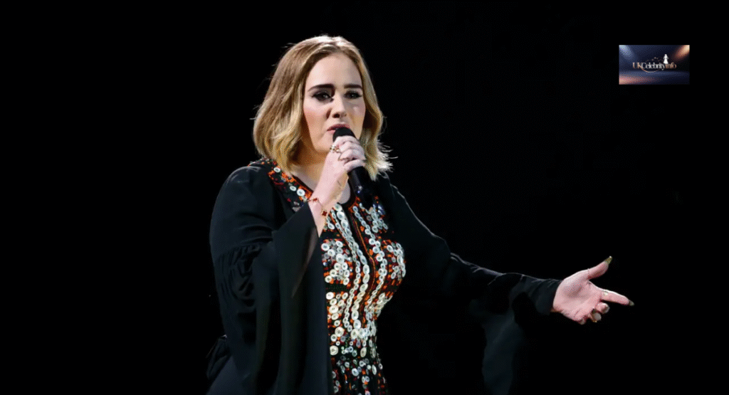 “Adele comeback 2025 live concert photo.”