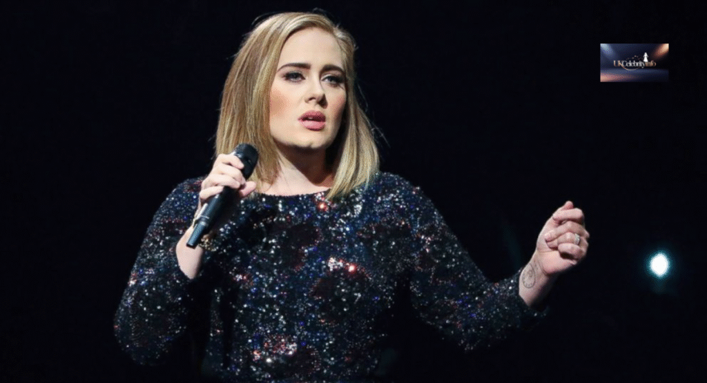 “Adele comeback 2025 live concert photo.”